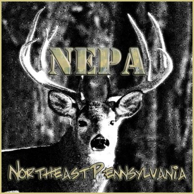 NEPA