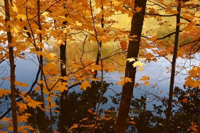 Elm Creek Park Reserve