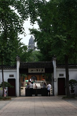 IMG_8655.JPG