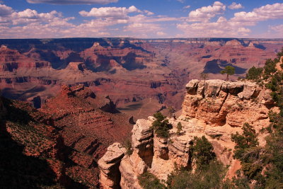 Grand Canyon (IMG_3190.JPG)
