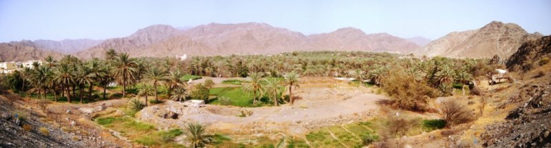 Bithnah Oasis (Fujairah)