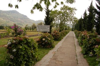 DSC_0422.jpg