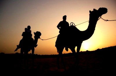 Al Awir Camel Rides