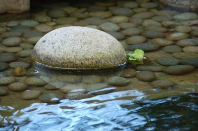 DSC_1179.JPG