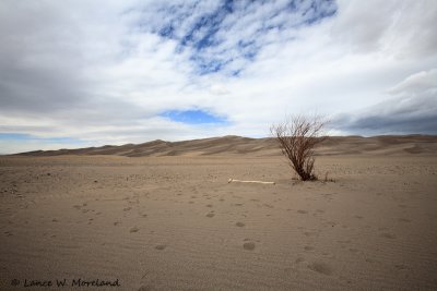 The Dunes of Colorado