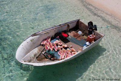 Bahamian Shell Hunters Boat