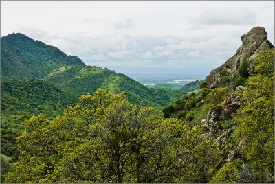 Bragg Canyon Vista, Looking West
