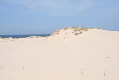 Dunes in the Slowinski National Park