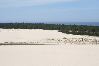 On a dune