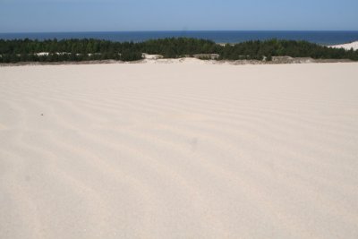 On a dune