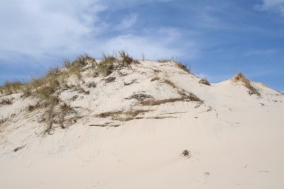 Dunes in the Slowinski National Park