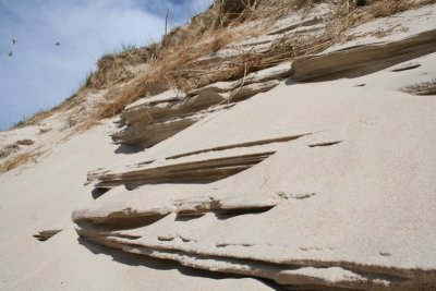 Sand forms