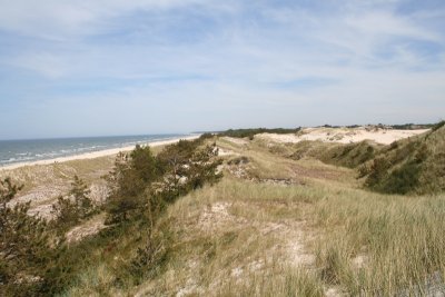 Beach from a dune