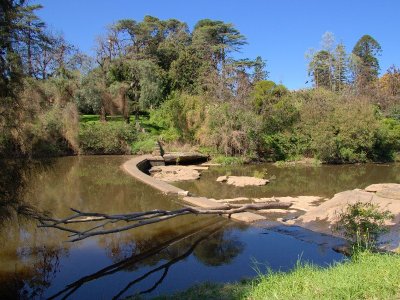 Parramatta Park - Parramatta River