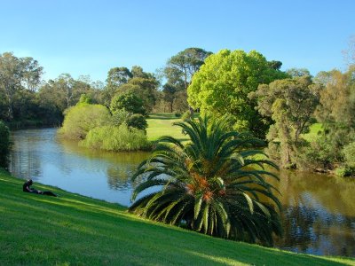 Parramatta Park - River Parramatta