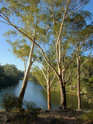 Parramatta - Lake Parramatta