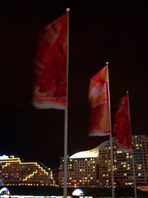 Footbridge Flags