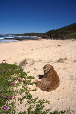 Beach at Wardens Head, Ulladulla, NSW