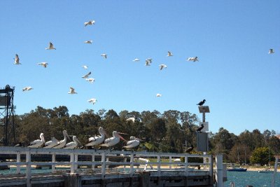 At Batemans Bay