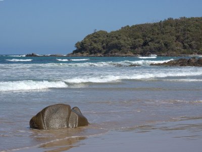Cape Conran East (Vic)