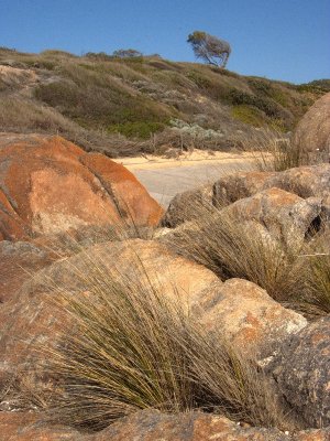 Cape Conran West (Vic)