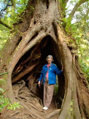 Maites Rest Rain Forest Walk 8