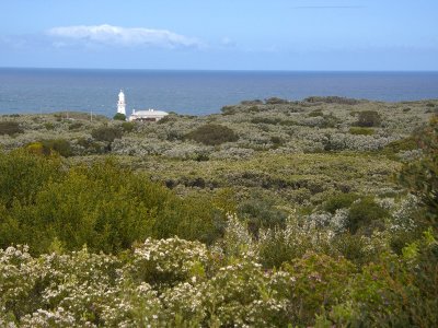Cape Otway and the lighthouse