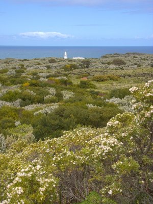 At Cape Otway