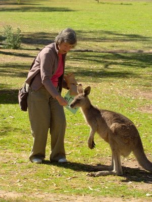 At oz.e.wildlife animal sanctuary near Lavington, NSW