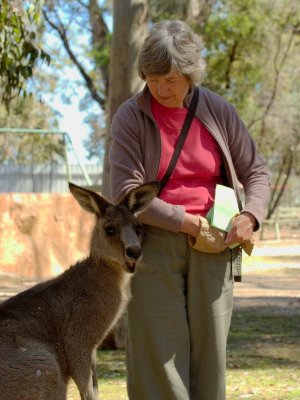 At oz.e.wildlife animal sanctuary near Lavington, NSW
Eastern Grey Kangaroo & friend
