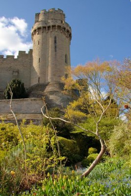 Warwick-Mill Garden April 09 (0011).jpg