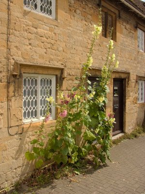 Chipping Campden July09 0002.jpg
