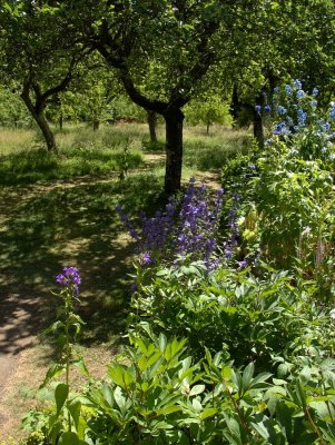 Hidcote (0006).jpg