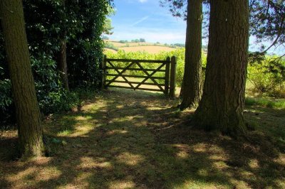 Hidcote (0012).jpg
