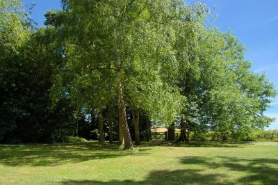 Hidcote (0014).jpg