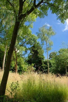 Hidcote (0015).jpg