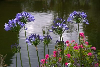 10-08-21_7123.jpg