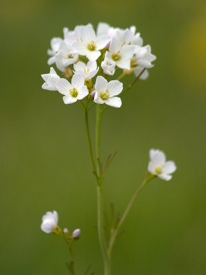 10-05-11_5453.jpg