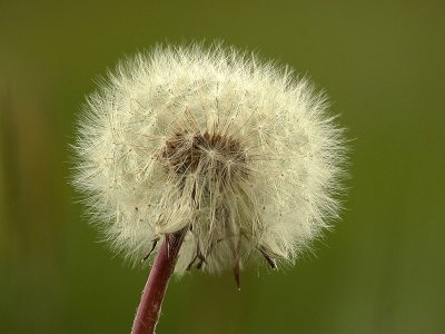 10-05-11_5463.jpg