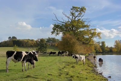 CROOME PARK - An Autumn Visit