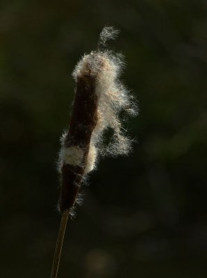 Brockhampton Estate 09.jpg