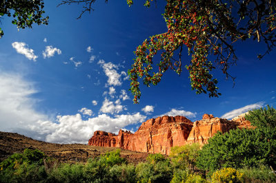 capitolreef03.jpg