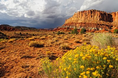 capitolreef05.jpg