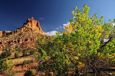 capitolreef07.jpg