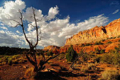 capitolreef09.jpg