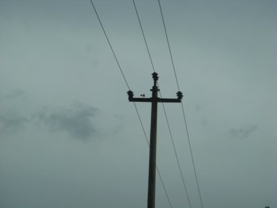 DSC09207.JPG