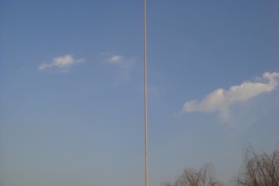 DSC00907.JPG