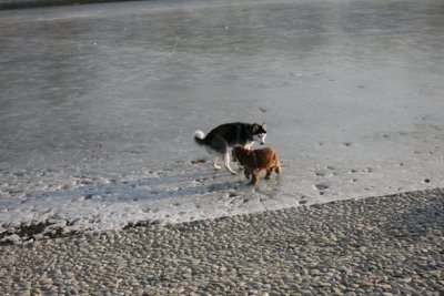 IMG_0018.JPG