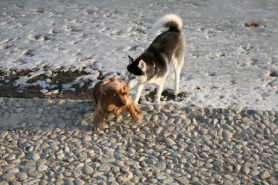 IMG_0020.JPG