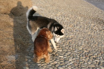 IMG_0024.JPG